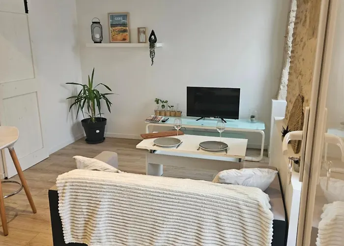 Appartement Centre Historique D\'Auch