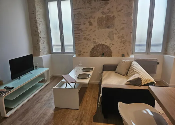 Appartement Centre Historique D\'Auch